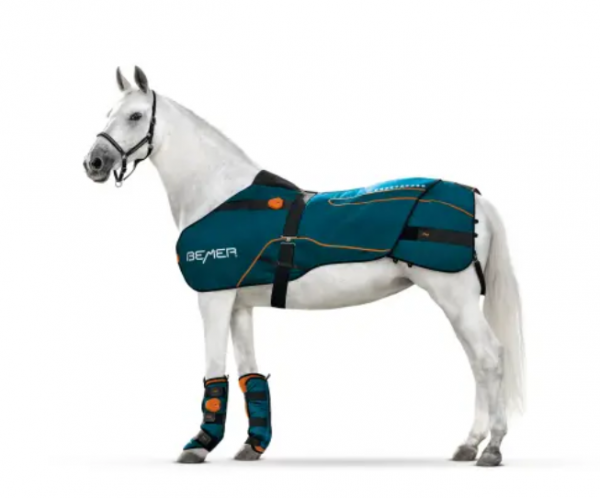 BEMER Equestrian System – BEMER